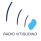 Radio Vitigudino