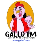 logo Gallo FM