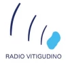 Radio Vitigudino