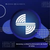 Radio Stereorey México