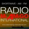 Radio Mi Amigo International